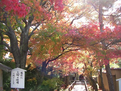 c0125501_9235877.jpg