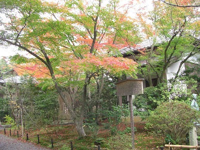 c0125501_9445051.jpg