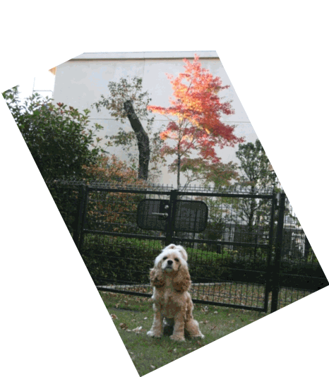 c0128303_10464846.gif