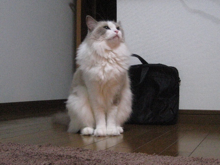 a0058005_214261.jpg