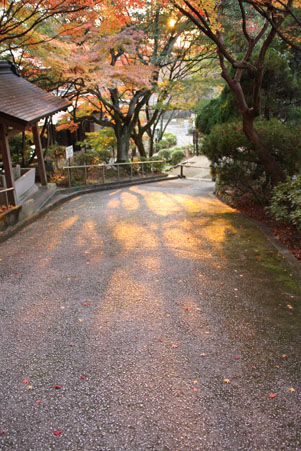 e0156015_13233583.jpg