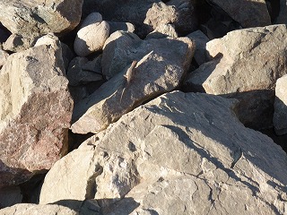 f0037623_1581159.jpg