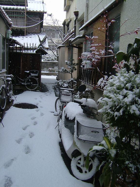 「今、突然雪が・・・」_d0133024_1016997.jpg