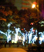 a0108328_073816.jpg