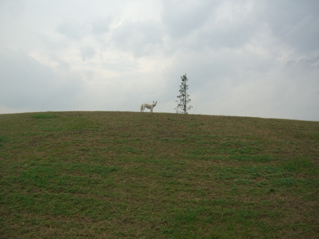 c0123029_145879.jpg