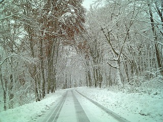 f0032130_18131785.jpg