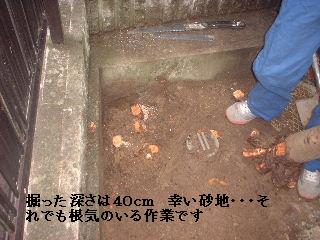 走る仕事人 & 女仕事人A_f0031037_20384671.jpg