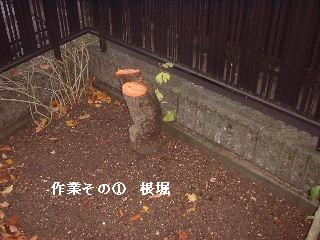 走る仕事人 & 女仕事人A_f0031037_2039157.jpg