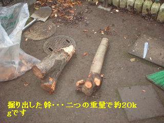 走る仕事人 & 女仕事人A_f0031037_20394342.jpg