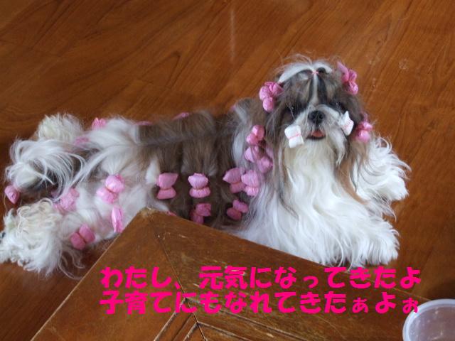 a0091448_10363476.jpg