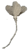 f0115653_18225872.gif