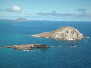 e0159256_2043268.jpg