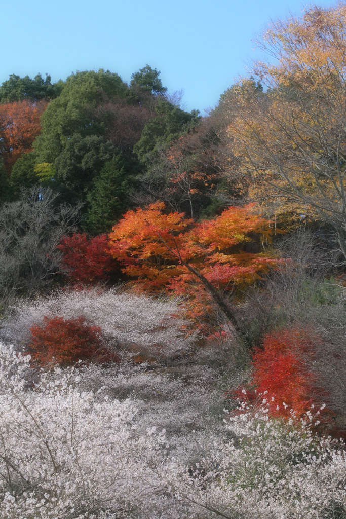 続・・・仕事のついでに一つ山越えて(；・∀・)_d0148060_8574714.jpg