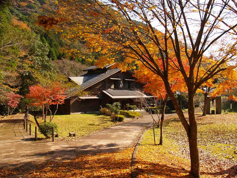 日田市 ことといの里 の紅葉 そうだ 山に登ろう