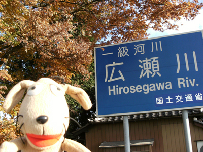 c0158573_10205920.jpg