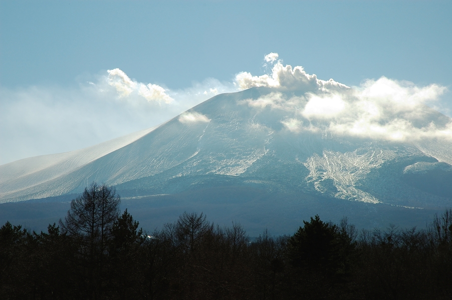 雪化粧_f0180878_1416244.jpg