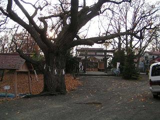 f0078286_11422879.jpg
