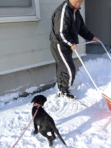 e0160787_226449.gif