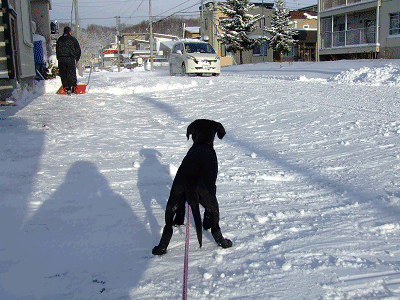 e0160787_2273429.gif