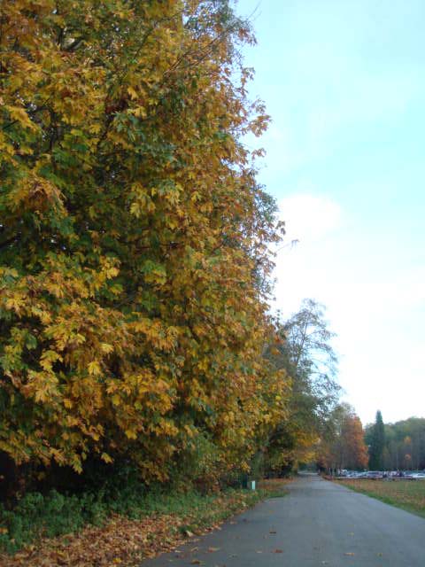 c0103793_161643.jpg