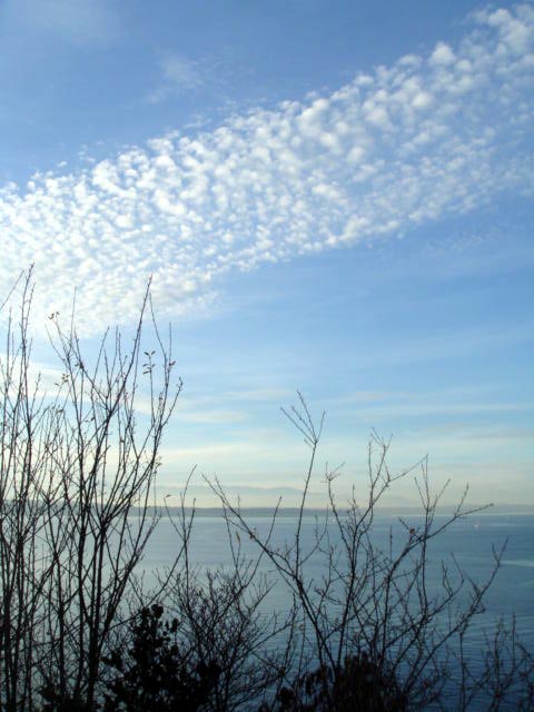 c0103793_1714261.jpg