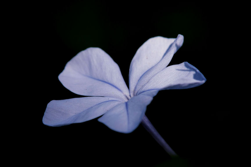 f0195893_8323079.jpg
