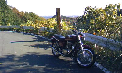 e0056401_2354914.jpg
