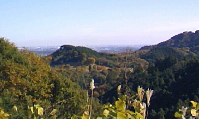e0056401_2354919.jpg
