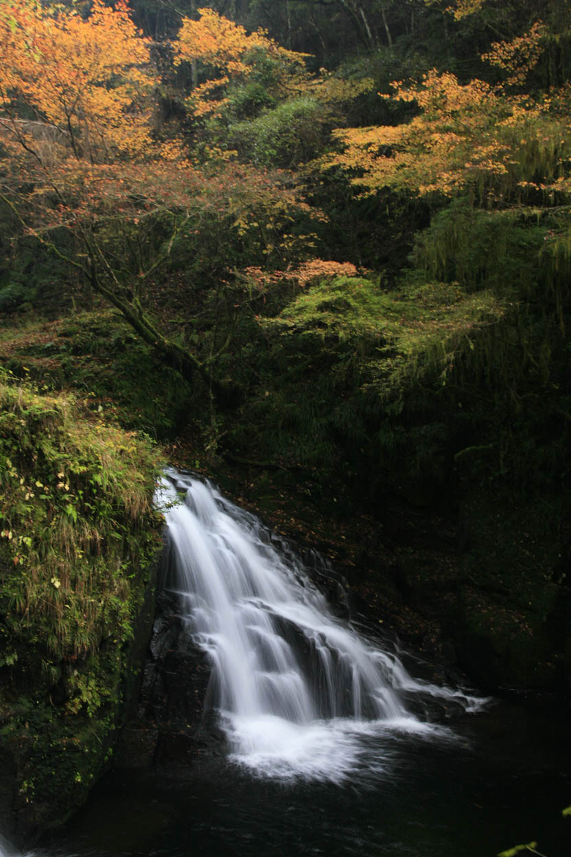 b0137402_14434589.jpg