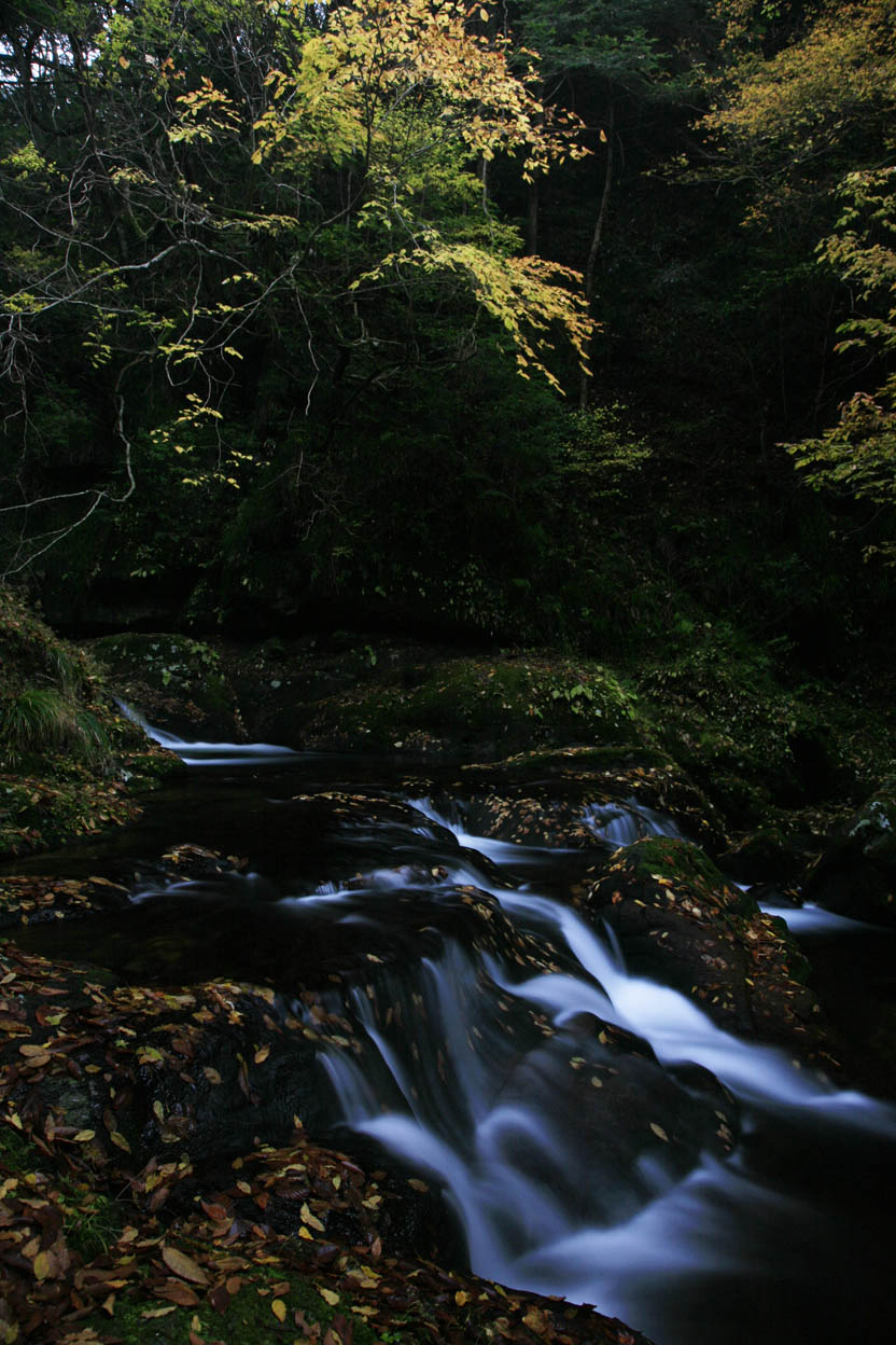 b0137402_14435754.jpg