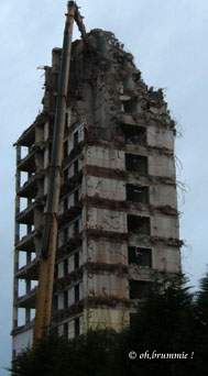 c0172202_474832.jpg