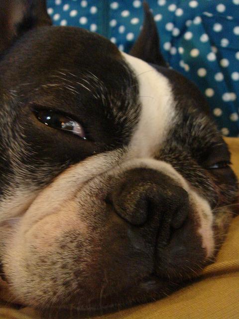 b0027203_12321.jpg