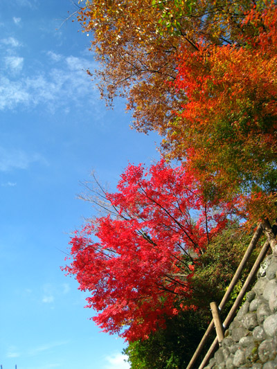 紅葉ドライブ-黒木町-霊巌寺の奇岩とお茶の里公園_a0097006_18112182.jpg