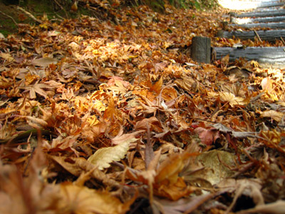 紅葉ドライブ-黒木町-霊巌寺の奇岩とお茶の里公園_a0097006_18153981.jpg