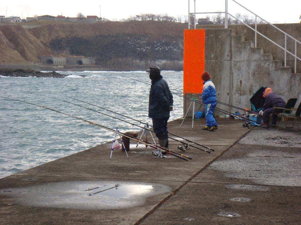 抱卵ホッケ 入れ食い 北海道の海釣りと家庭菜園