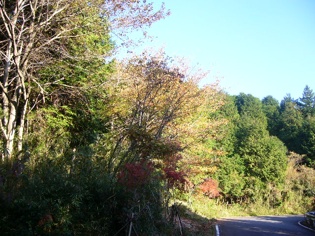 e0015108_23303232.jpg