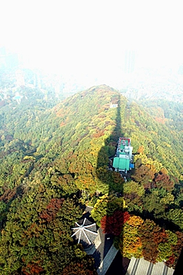 a0034225_8131512.jpg