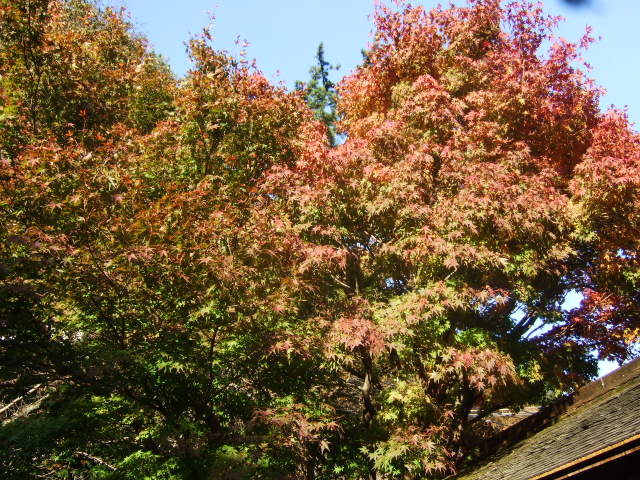 b0137932_8321986.jpg