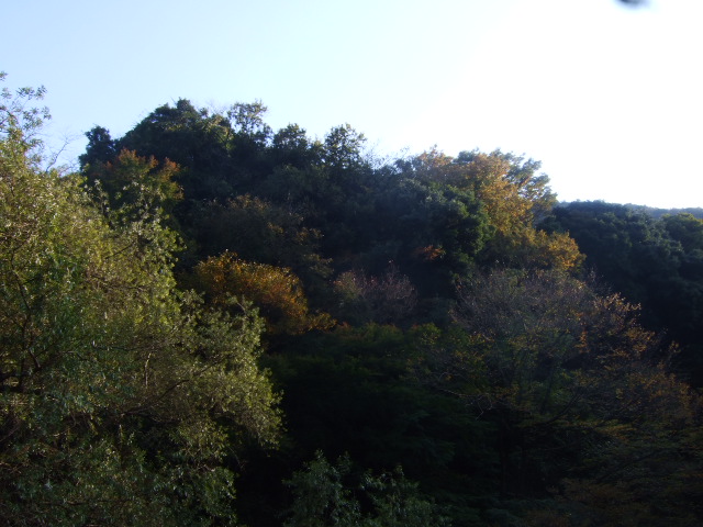 b0137932_8353997.jpg