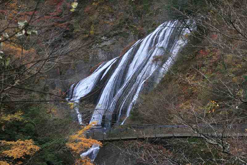 e0052135_2224956.jpg