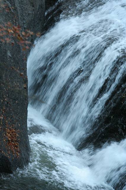 e0052135_2226524.jpg