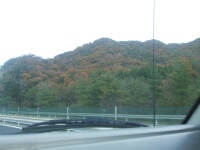e0107638_95215.jpg