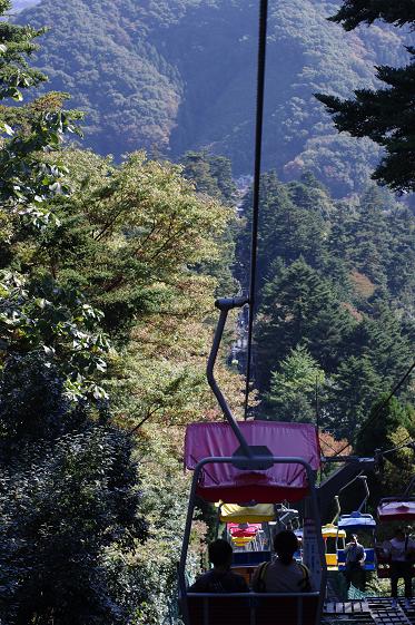 高尾山 14_d0113340_13105062.jpg