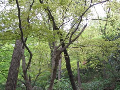 e0113040_12505987.jpg