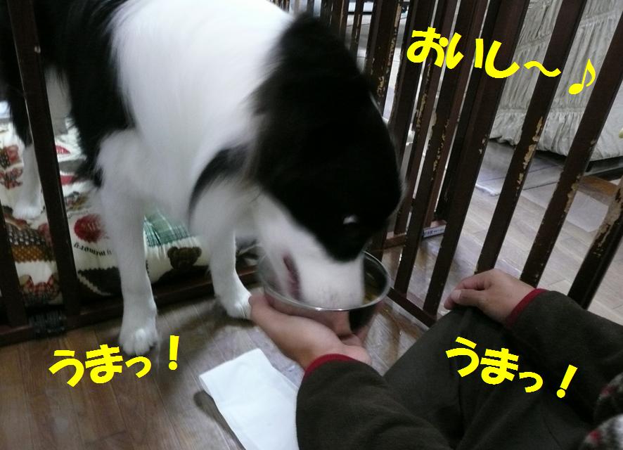 c0147241_23194214.jpg