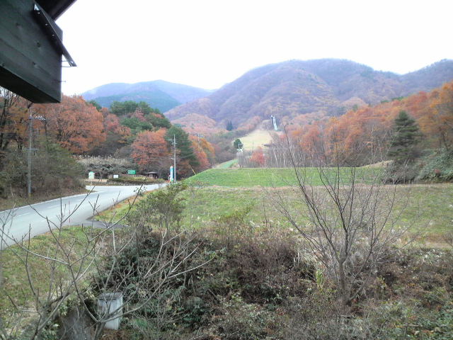 f0129543_20291279.jpg