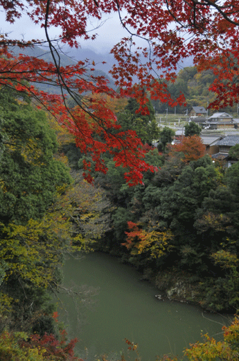 c0093046_1733130.gif