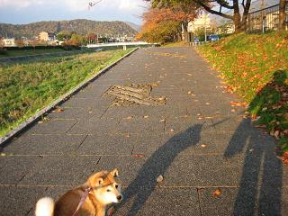 虚しさをふっ飛ばしたいけれど_c0049950_2253242.jpg