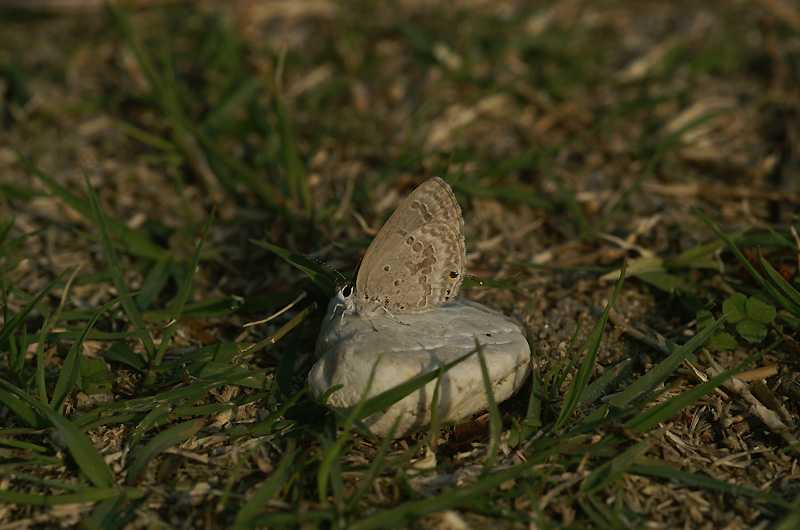 e0156157_20332327.jpg
