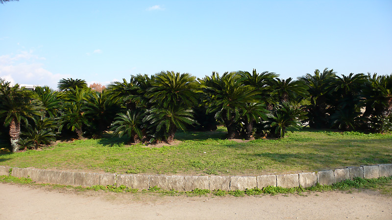 e0156157_20354413.jpg